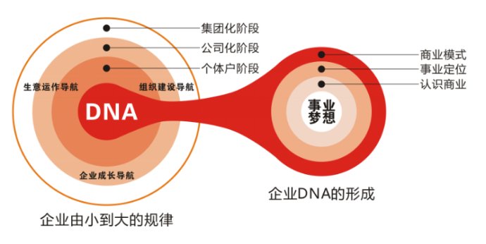 北京网站运营